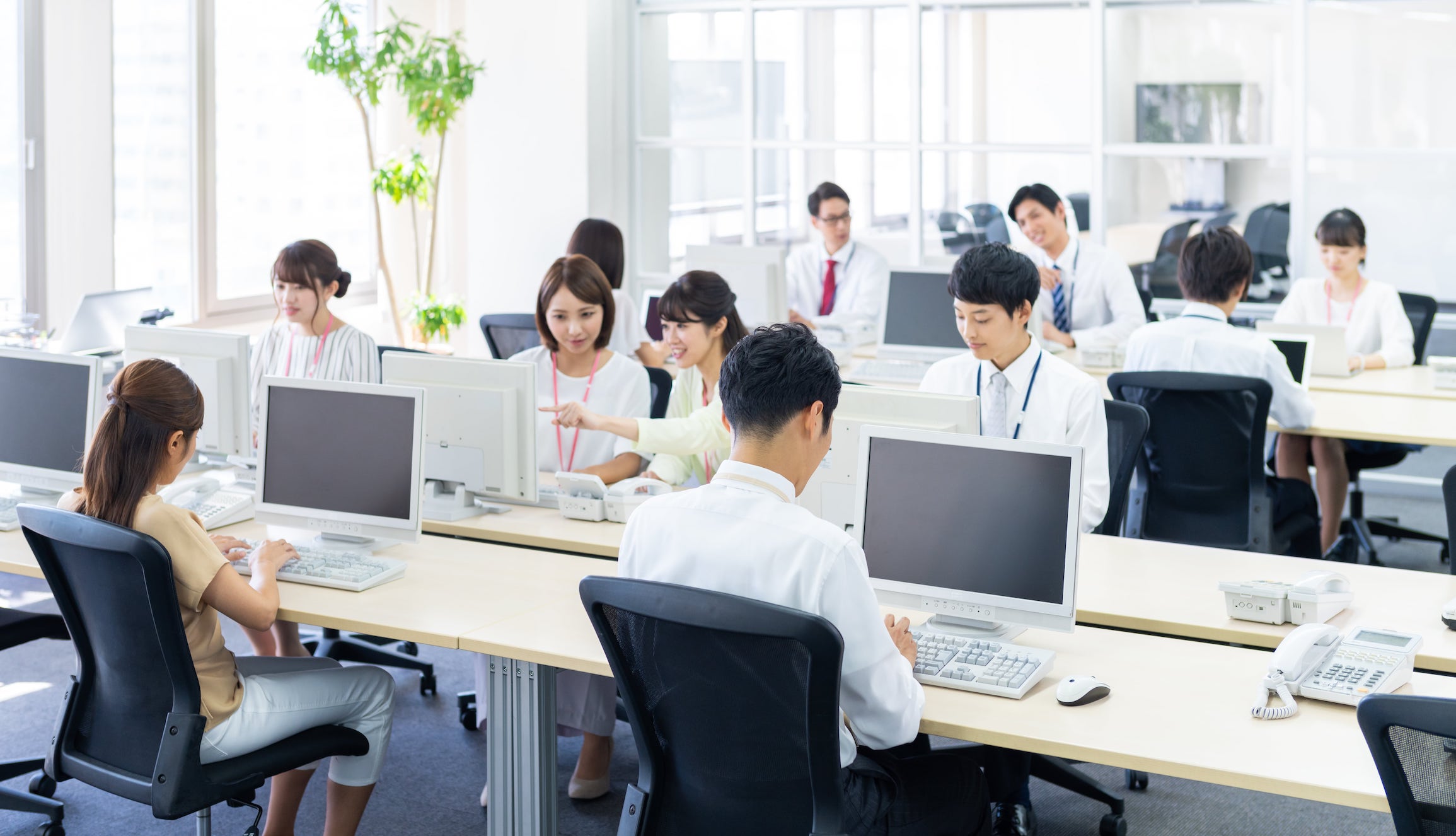 店周６８０業種融資渉外ガイド 第５版/銀行研修社/日本経営士会（単行本） 店周680業種融資渉外ガイド 第5版/銀行研修社/日本経営士